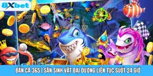 Bắn Cá 365 | Săn Sinh Vật Đại Dương Liên Tục Suốt 24 Giờ