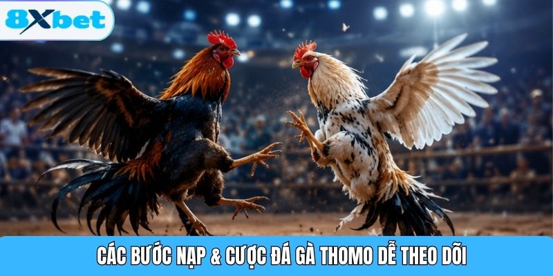 Các bước nạp & cược đá gà Thomo dễ theo dõi