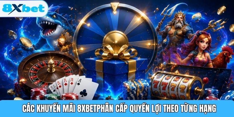 Các khuyến mãi 8XBET phân cấp quyền lợi theo từng hạng