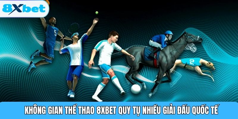 Không gian thể thao 8XBET quy tụ nhiều giải đấu quốc tế