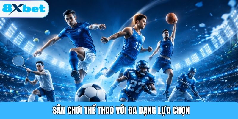 Sân chơi thể thao với đa dạng lựa chọn