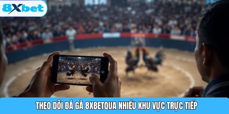 Theo dõi đá gà 8XBET qua nhiều khu vực trực tiếp