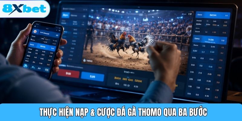 Thực hiện nạp & cược đá gà Thomo qua ba bước